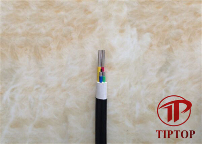 PVC Cover Cold Drawn Seamless SS316L 4 Core Coiled Tubing