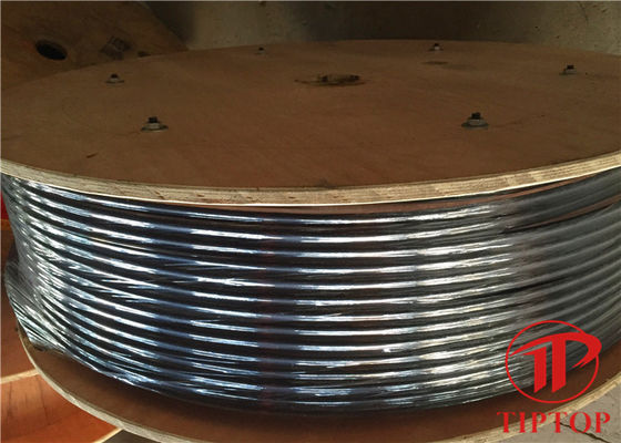 TP304L Multi Core Tube