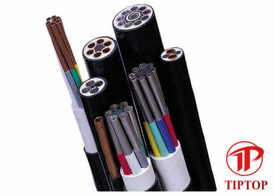 ASTM A269 PVC Covered 304L Multi Core Tubing