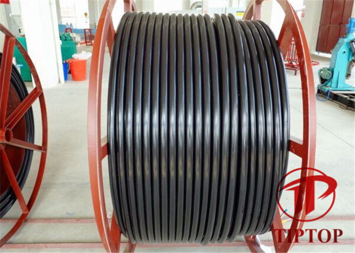 ASTM A312 Ss Welded PVC Jacket Multi Core Coiled Tubing